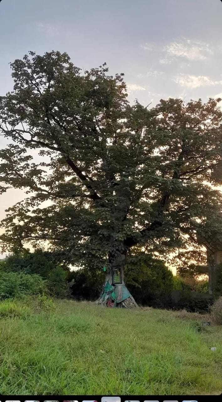 تصویر روستا