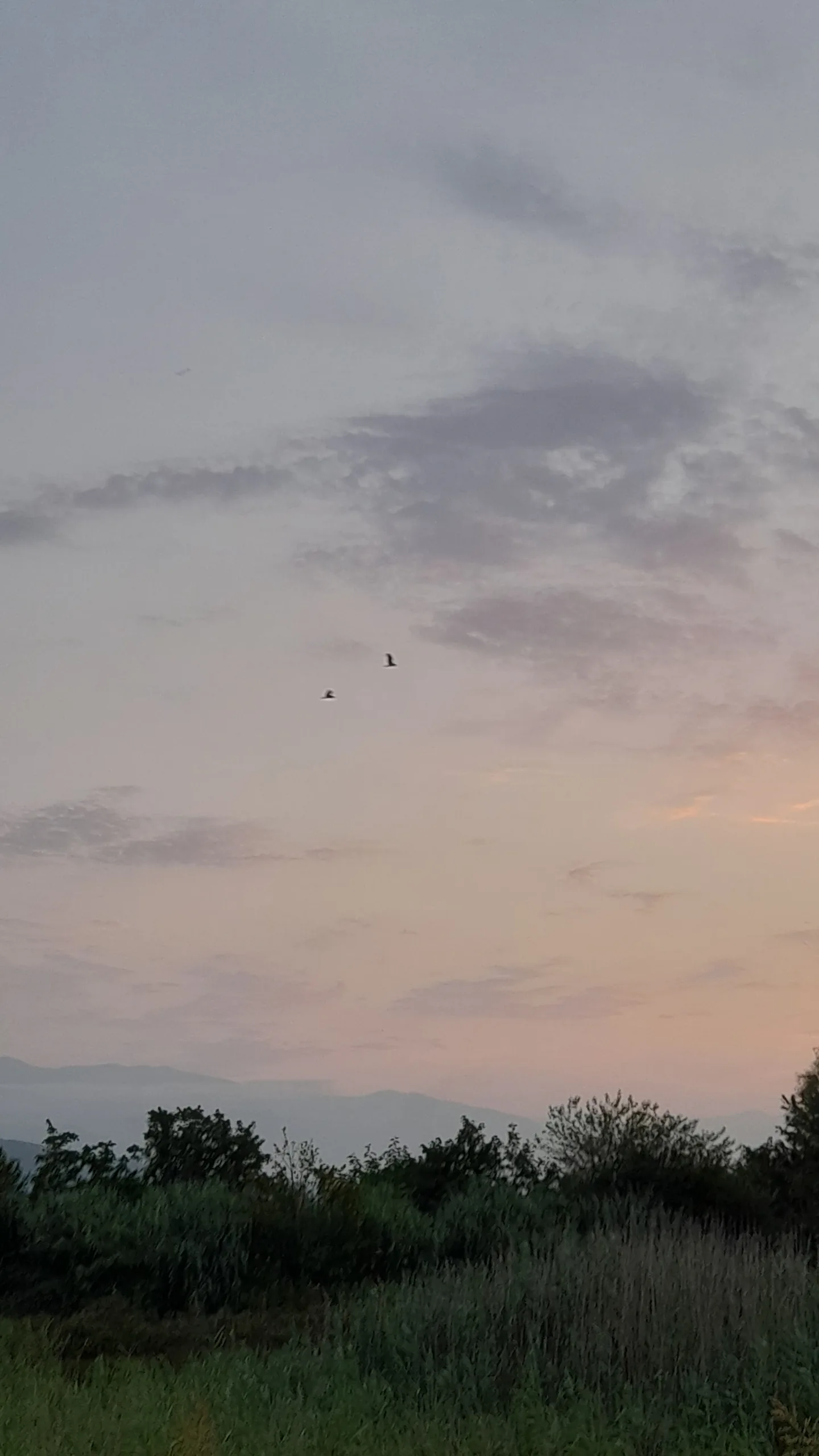 تصویر روستا