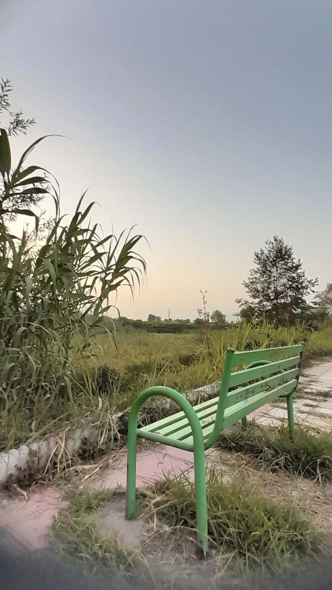 تصویر روستا