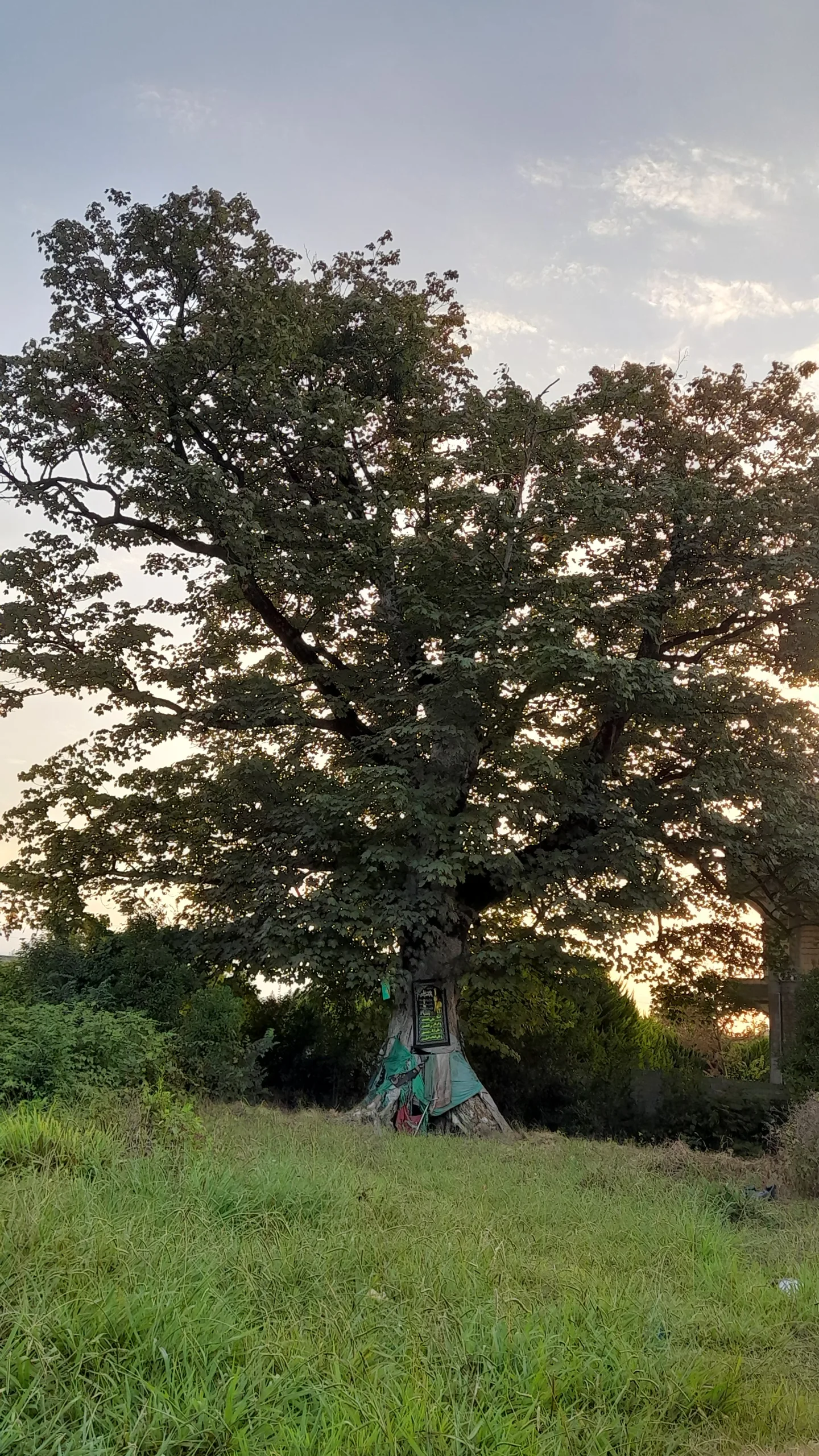 تصویر روستا
